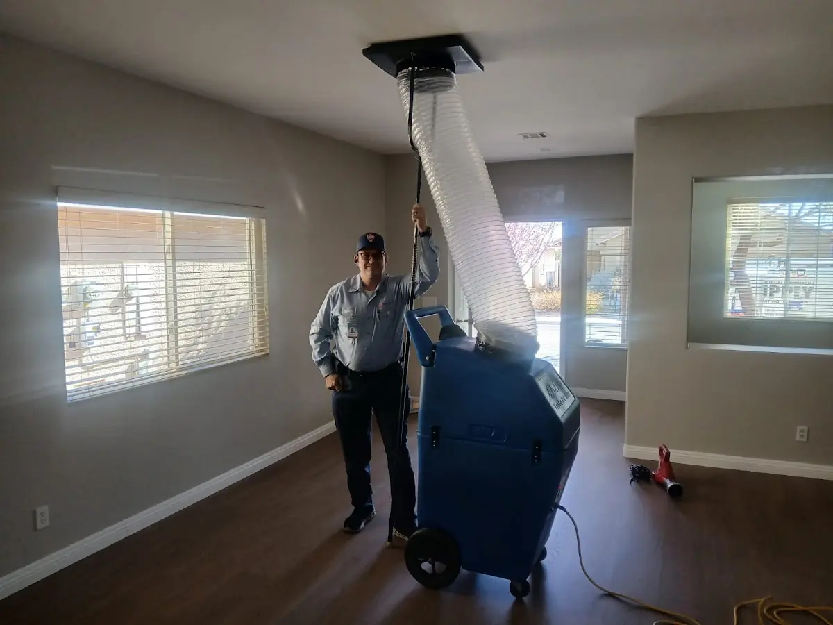 Professional Dryer Vent Cleaning work inside a Sylvester home